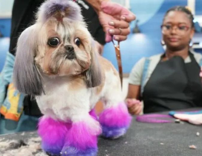 Question of the Week